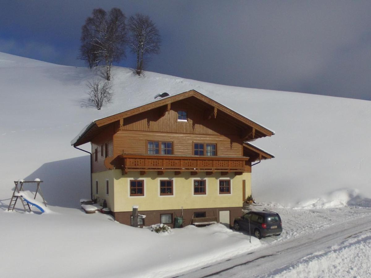 Appartement Near The Area In Wagrain