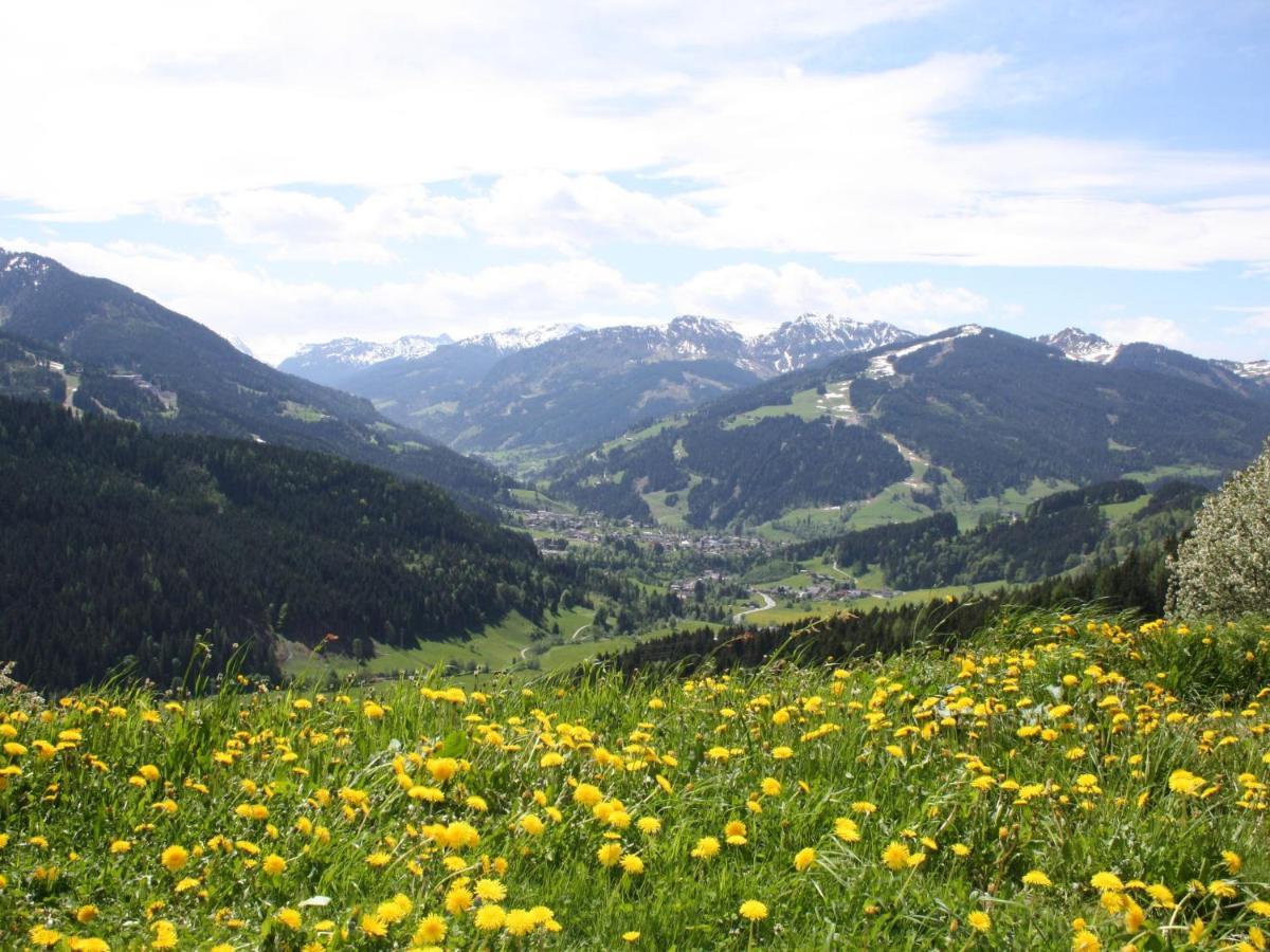 Near The Area In Apartment Wagrain