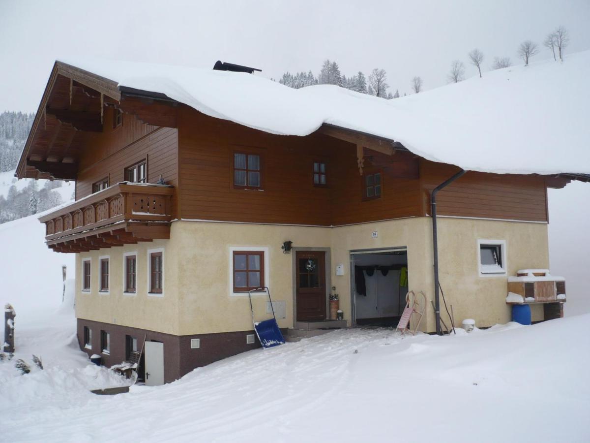 Near The Area In
